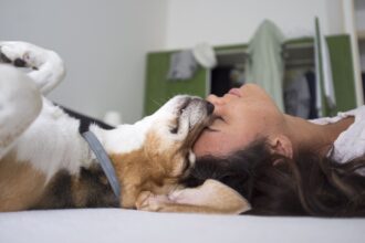 cinoterapia braga quinta pedagógica