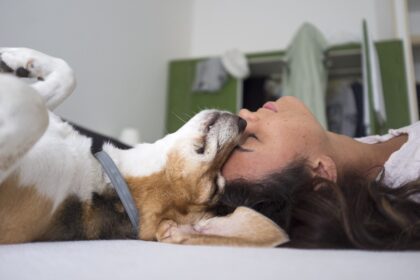 cinoterapia braga quinta pedagógica