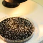 legionella