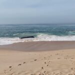 Embarcação de pesca naufraga na Figueira da Foz