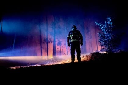 Incendio Braga OCDE Cim Cavado