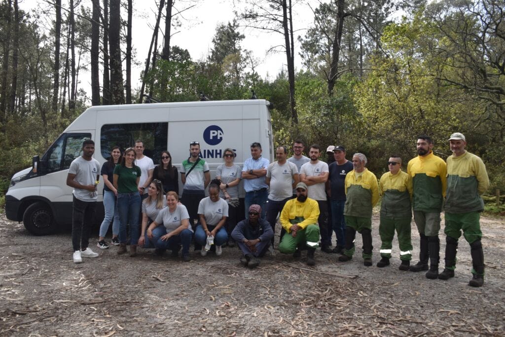Viana: Funcionários municipais foram ao monte plantar espécies florestais Viana plantar arvores