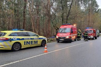 despiste acidente E24 Forjães EN103