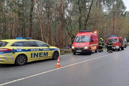 despiste acidente E24 Forjães EN103