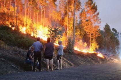 incendio PJ ponte de lima