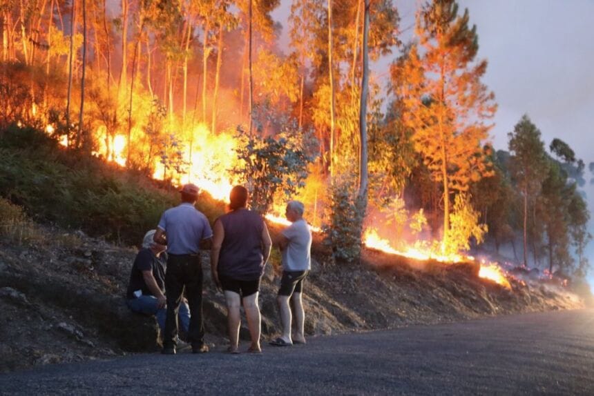 incendio PJ ponte de lima