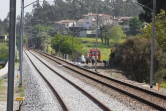 midões comboio atropelamento gnr mortal
