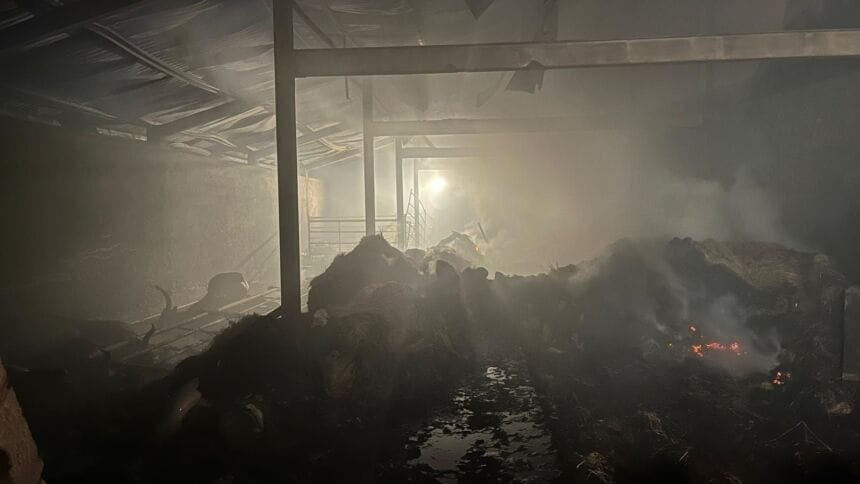Ponte da Barca: PJ investiga incêndio que destruiu armazém de alfaias agrícolas e vacaria vacaria