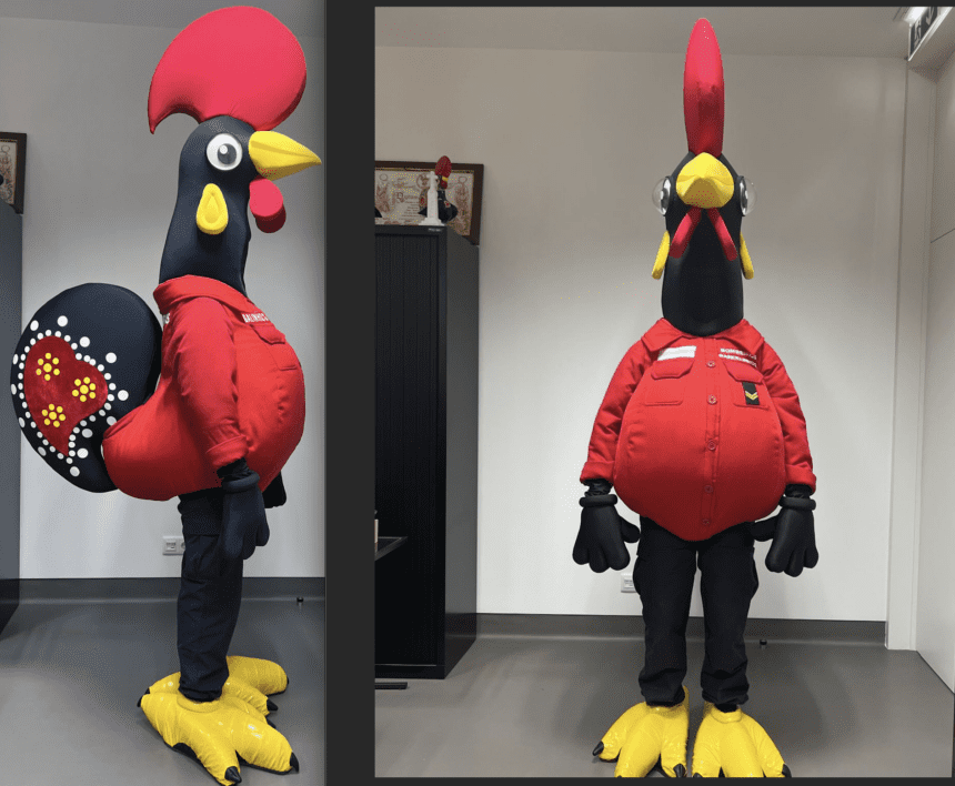 Barcelos: "Galinhos" é a nova mascote dos BV Barcelinhos Galinhos
