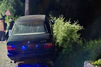 Carro suspenso Viana