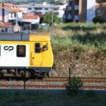 Comboio Linha minho mortes linha atropelamentos