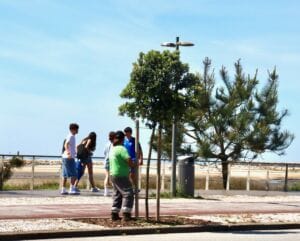Esposende: Marginal está mais "metrosidero" devolvendo "verde e sombra" ao espaço Marginal arvores
