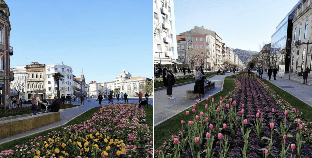 Braga: Moradores e comerciantes desafiados a enfeitar com flores as ruas do centro Braga Florida