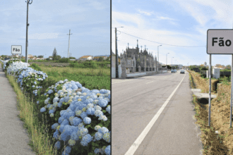 Esposende Fão IP Hortensias