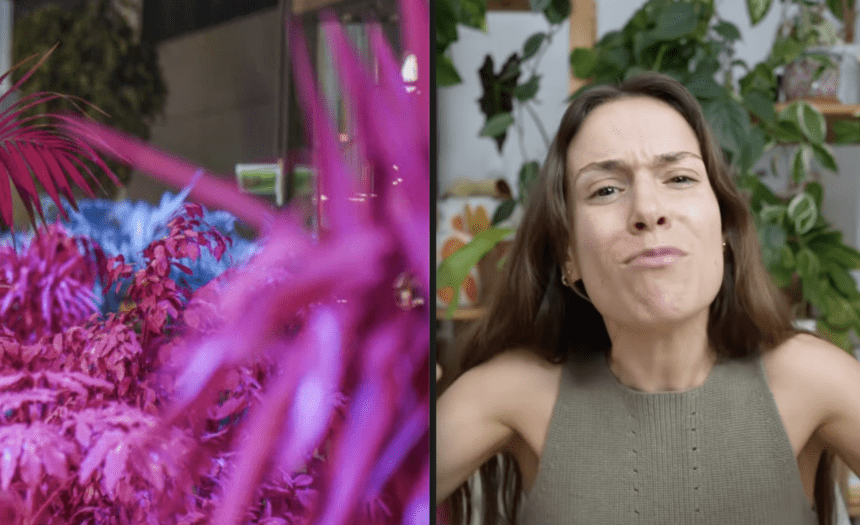 Braga: Tripeirinha criticou nas redes e exposição foi cancelada cancela exposiçao braga