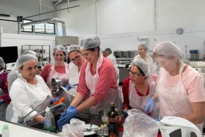 Esposende formação