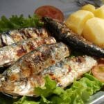 Sardinha santos populares peixe