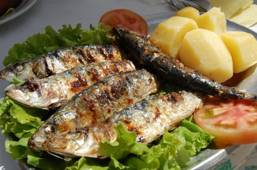 Sardinha santos populares peixe