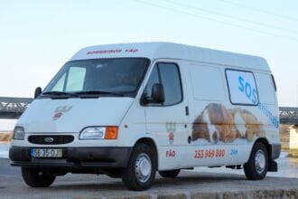 transporte animal esposende bv fao