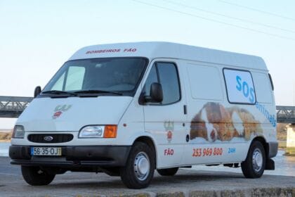 transporte animal esposende bv fao