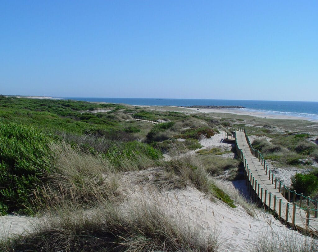 Esposende: Investimento de 242 mil euros para reforçar valorização do Parque Natural do Litoral Norte PNLN