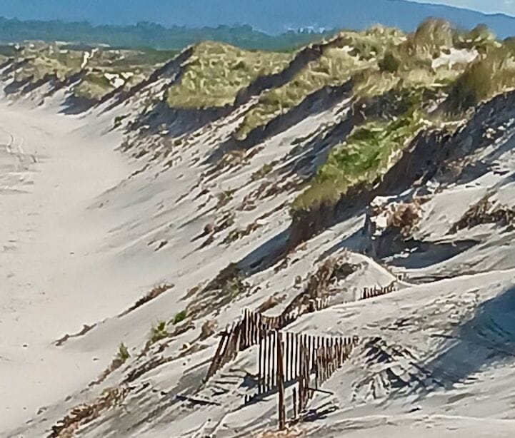 Amorosa praia rodanho viana do castelo