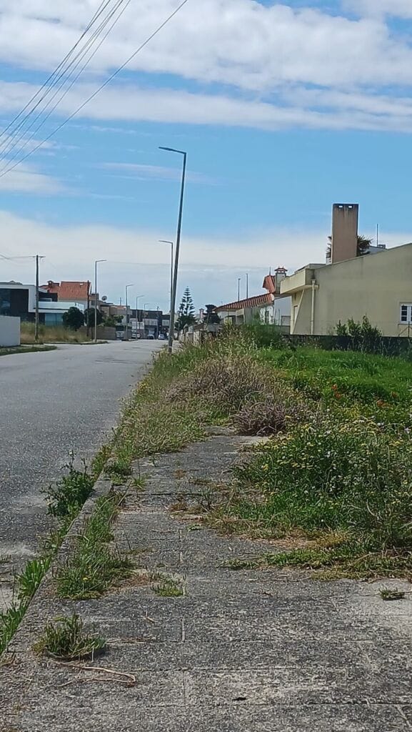 amorosa praia praias viana 32