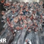 gnr tubarao viana