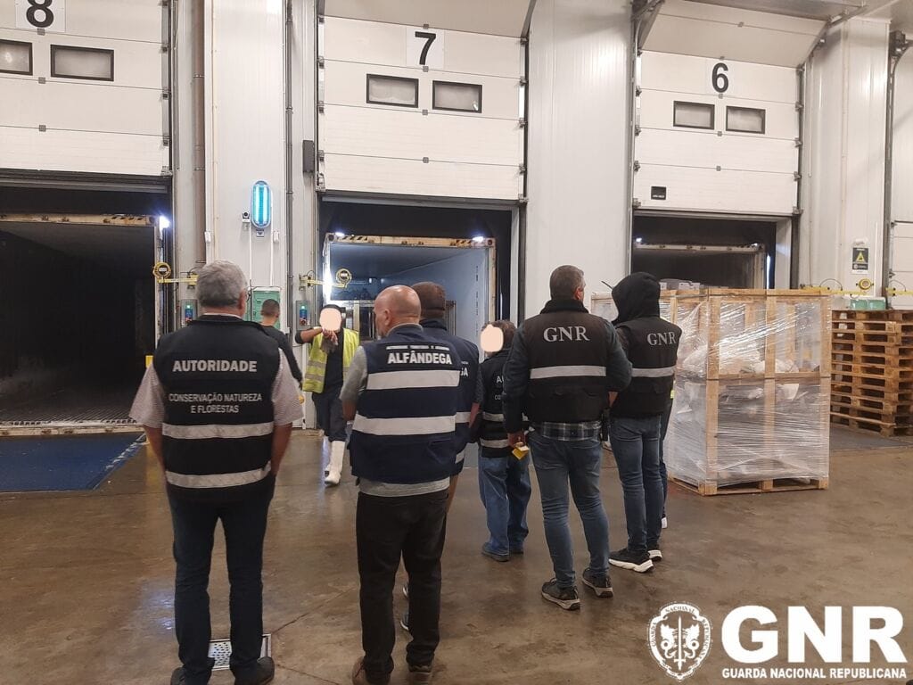 gnr tubarao viana