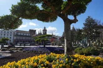 Braga