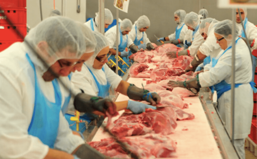 Primor é exemplo de inovação no setor agroalimentar Primor carnes Famalicão