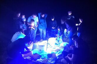 Braga bioblitz