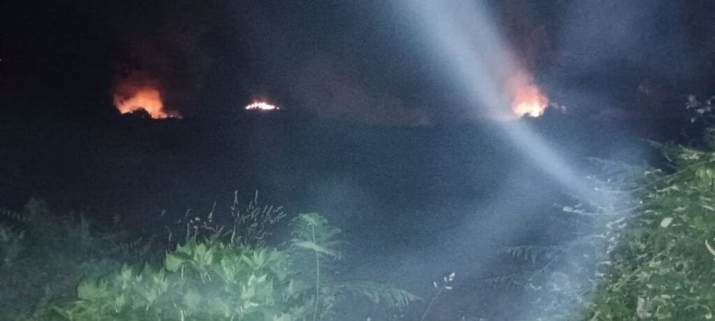 Ponte de Lima: Anda alguém a pegar fogo ao mato durante a noite incendios ponte de lima