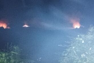 incendios ponte de lima