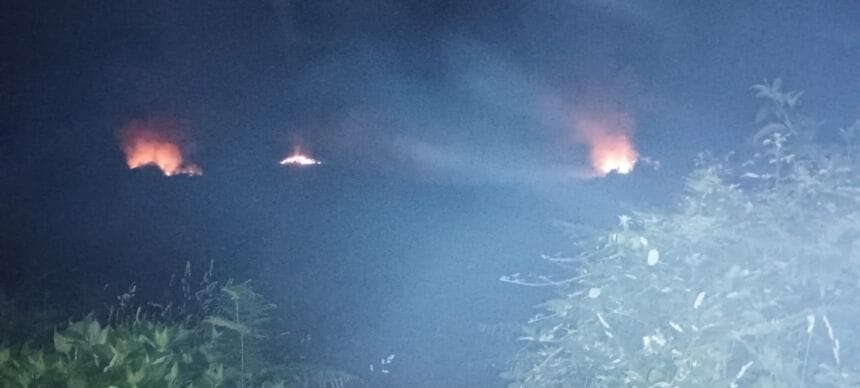 Ponte de Lima: Anda alguém a pegar fogo ao mato durante a noite incendios ponte de lima
