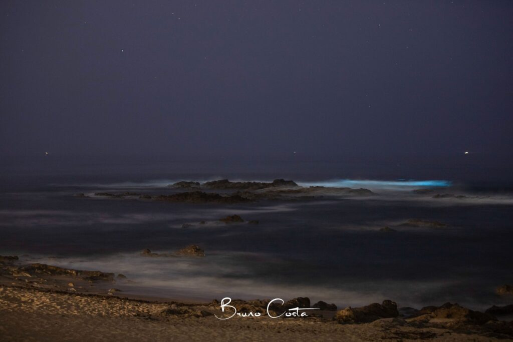 Maré bioluminescente regressou às praias de Vila do Conde maré bioluminescente vila do conde