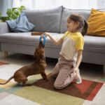 Pet cão brincadeiras animais