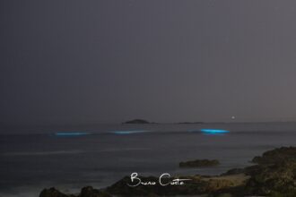 maré bioluminescente vila do conde