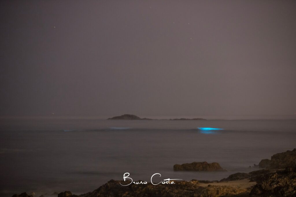 Maré bioluminescente regressou às praias de Vila do Conde mare azul vila do conde