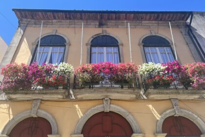 Barcelos florido