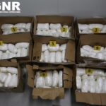 cocaina braga gnr