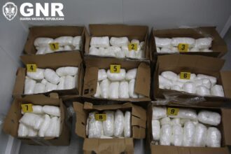 cocaina braga gnr