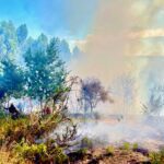 arcos de valdevez incendios