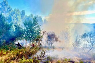 arcos de valdevez incendios