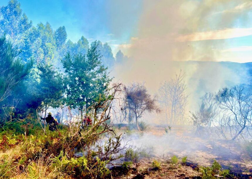 Arcos de Valdevez: Incêndios continuam e em 12 horas foram seis arcos de valdevez incendios