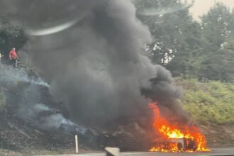 A11 barcelos incendio