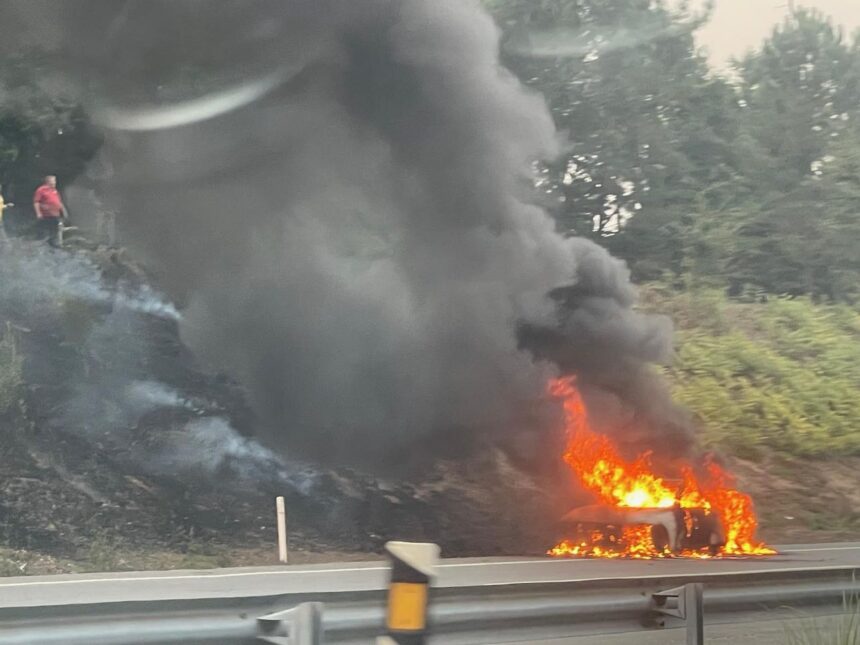 Barcelos: Carro arde na A11 e bombeiros evitam incêndio florestal A11 barcelos incendio