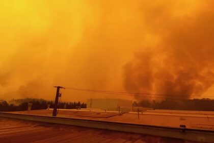 incendio Albergaria a Velha