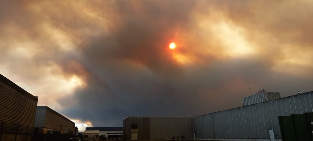 incendio albergaria a velha manuel gomes pereira 7