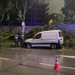 Queda de arvores braga atinge carro